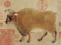 chinesische Rinder